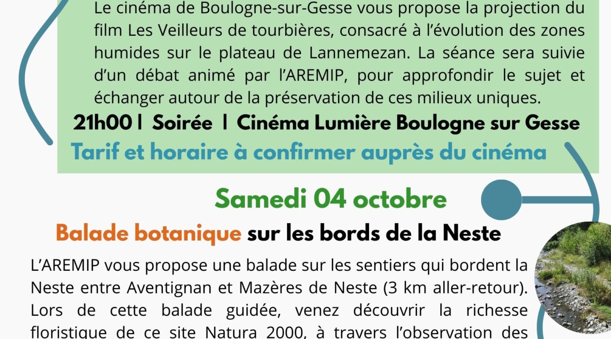 Automne AREMIP