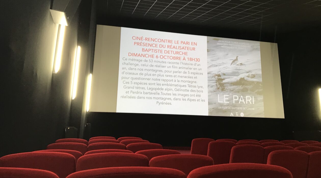 Ciné-rencontres Luchon