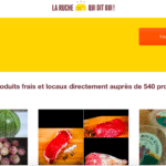 La ruche qui dit si