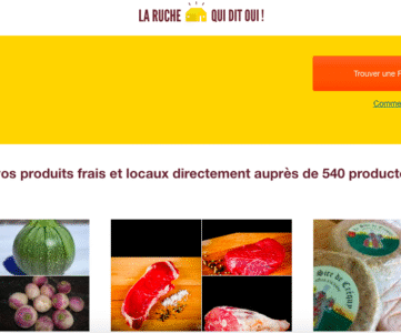 La ruche qui dit si