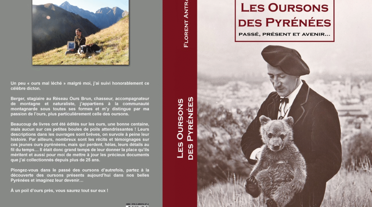 Oursons Florent Antras