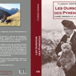 Oursons Florent Antras