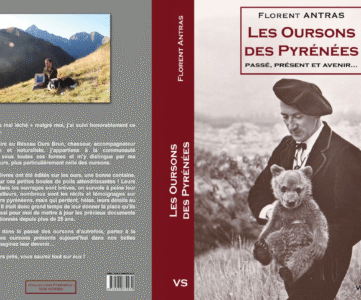 Oursons Florent Antras