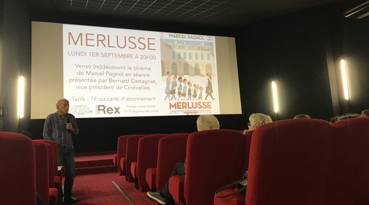 Merlusse cinéma Luchon