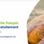 moteur de recherche lilo ecosia