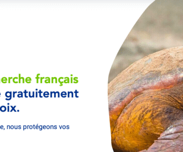 moteur de recherche lilo ecosia
