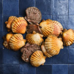 PARRAINAGE CODE PROMO POISCAILLE 15€