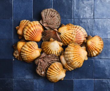 PARRAINAGE CODE PROMO POISCAILLE 15€