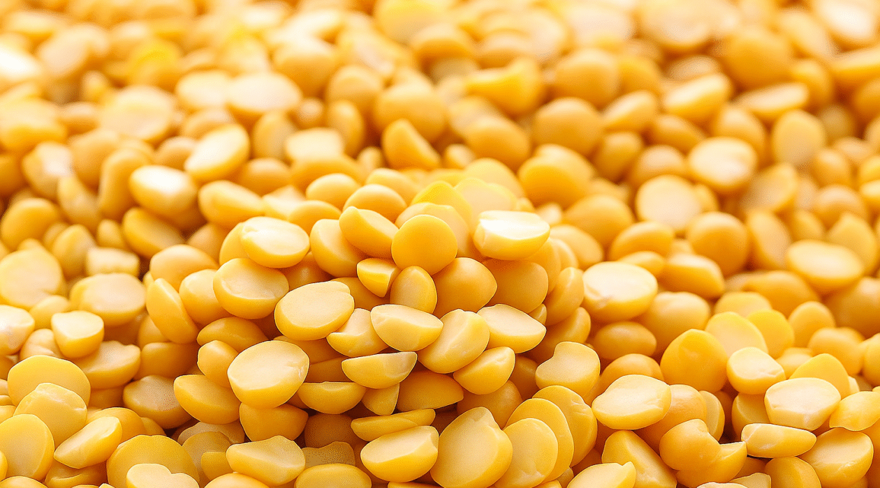 Pois proteine