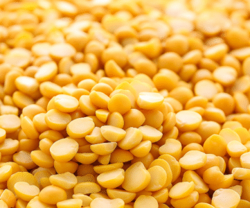 Pois proteine