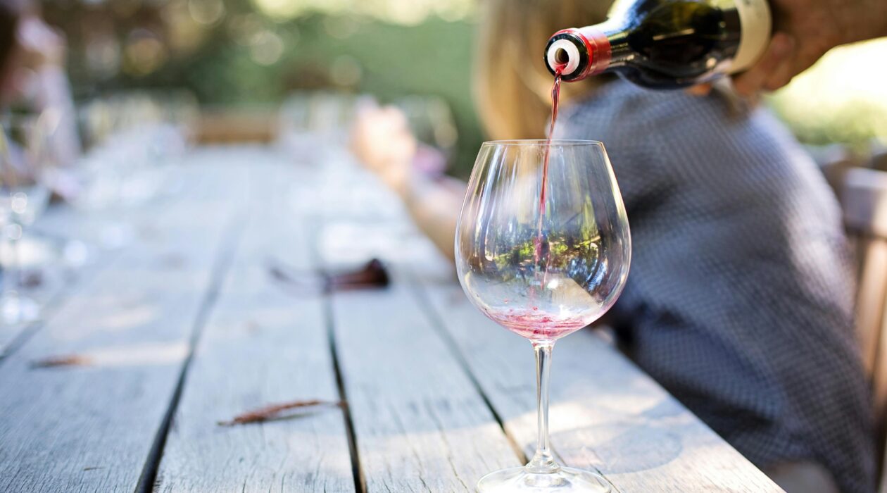 Vin Bio Occitanie