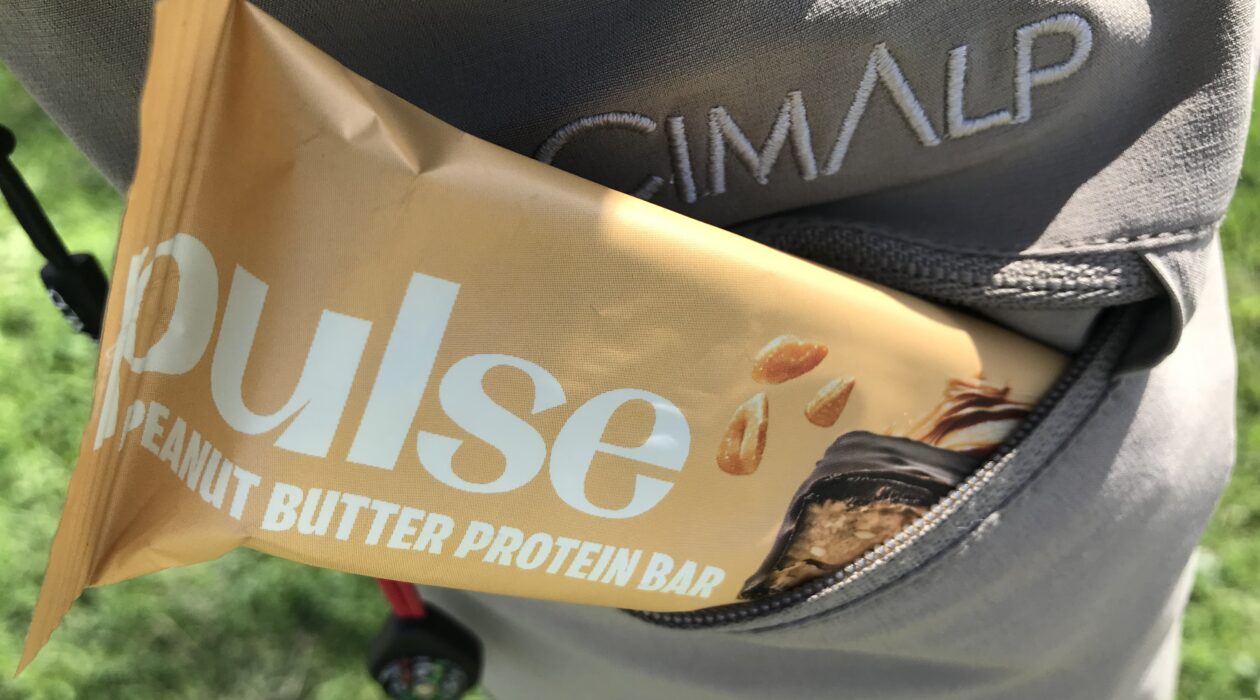 Barre protéinée Pulse cacahuète bio 