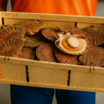 Coquille Saint-Jacques