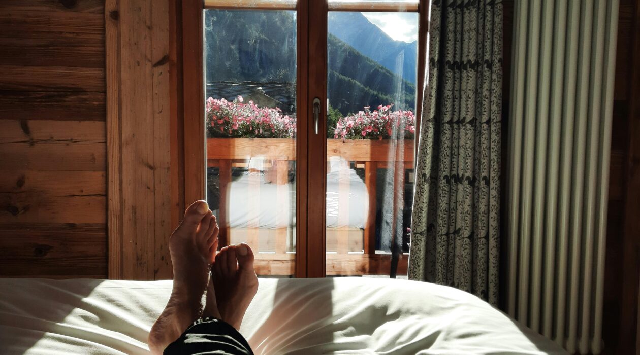 logement location luchon