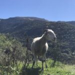 Luchon Vacances Toussaint