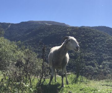 Luchon Vacances Toussaint