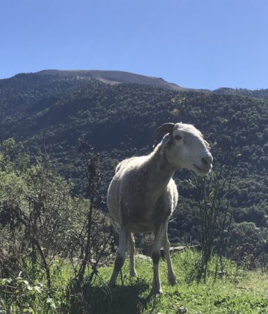 Luchon Vacances Toussaint