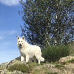 Marcher au bureau avec Oslo