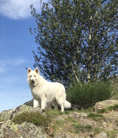 Marcher au bureau avec Oslo
