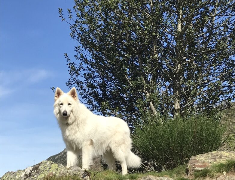 Marcher au bureau avec Oslo