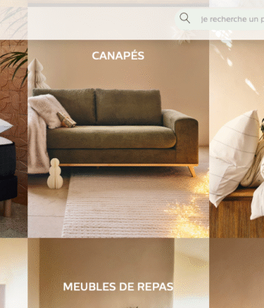 Alinéa redressement judiciaire