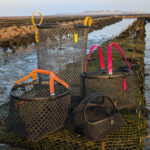 les Pochons recyclage filets huitres