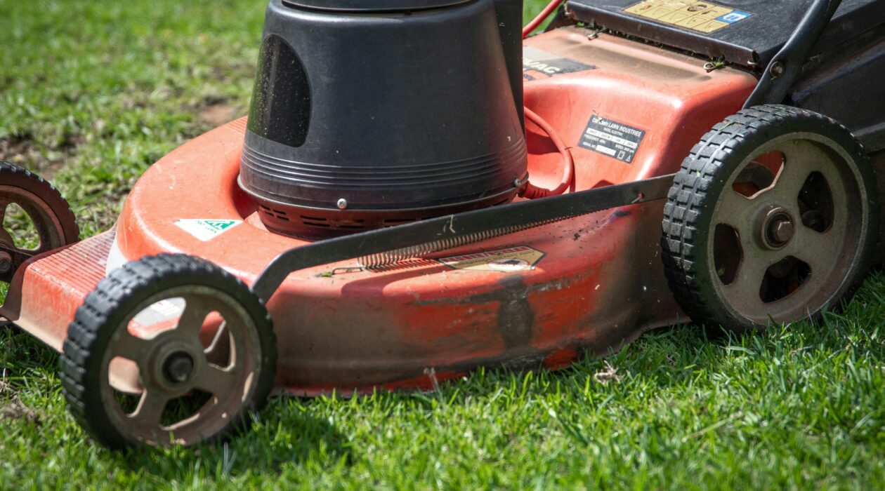 tondeuse réparation-entretien-printemps et ça repart !